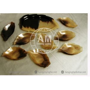 MUÔI THÌA NĨA SỪNG