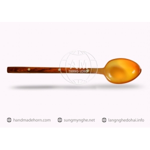 MUÔI THÌA NĨA SỪNG