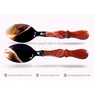 MUÔI THÌA NĨA SỪNG