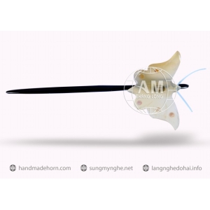 TRÂM CÀI TÓC SỪNG